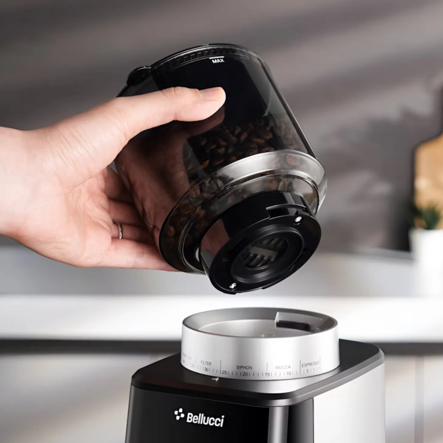 Bellucci|Automatics>Ma Caféine Bellucci | Casa coffee grinder