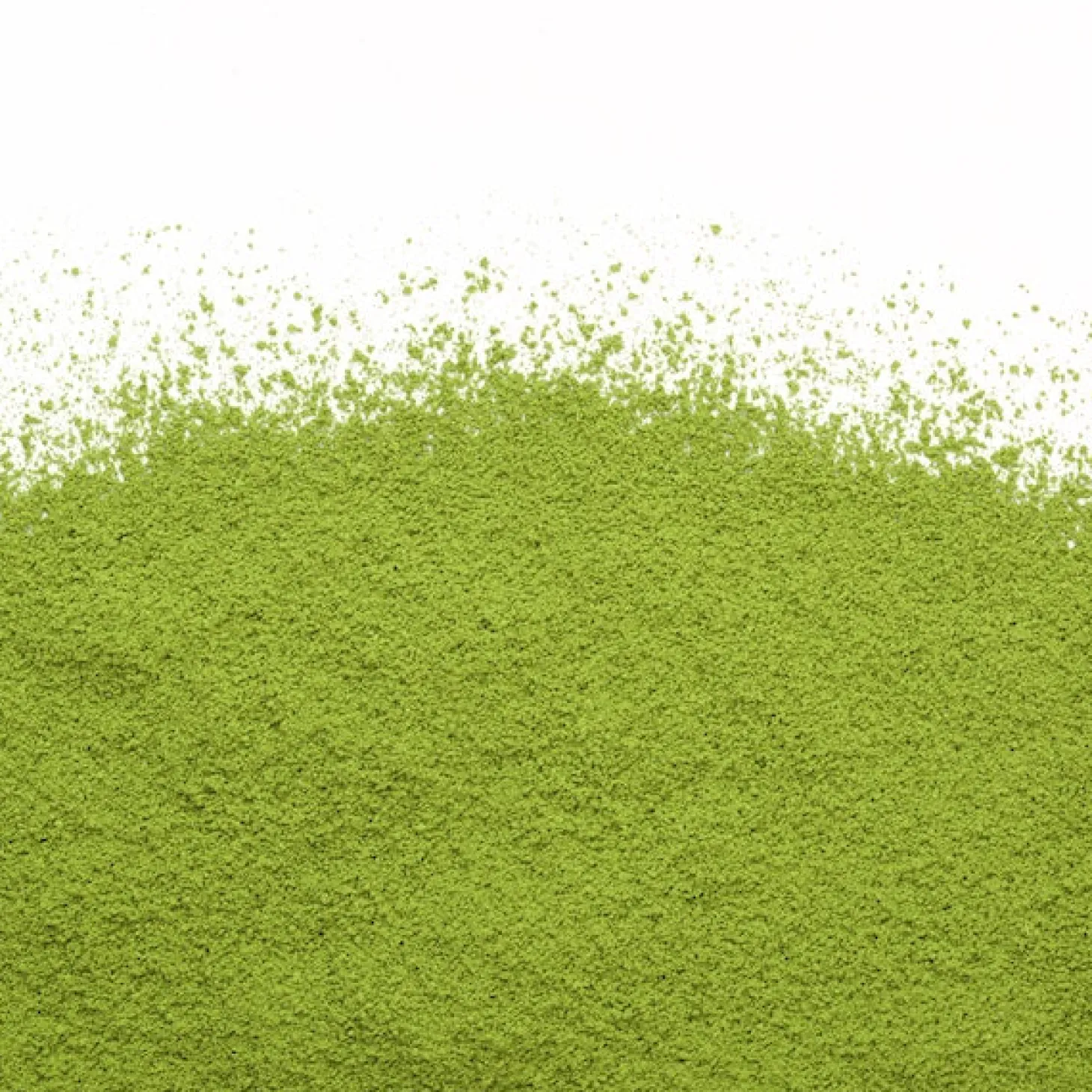 Matcha Teas|Green Teas>Ma Caféine Camellia Sinensis | Matcha Uji (40g box)