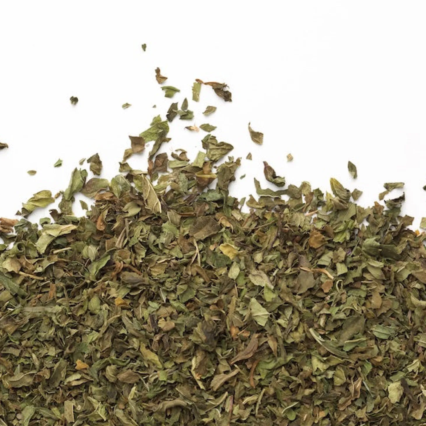 Herbal Teas|In Bag>Ma Caféine Camellia Sinensis | Organic & fair trade mint (50 sachets)