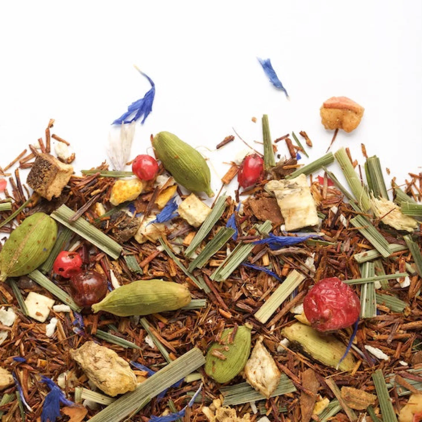 Rooibos Teas|In Bag>Ma Caféine Camellia Sinensis | Rooibos Zest Éclair organic & fair trade (50 sachets)