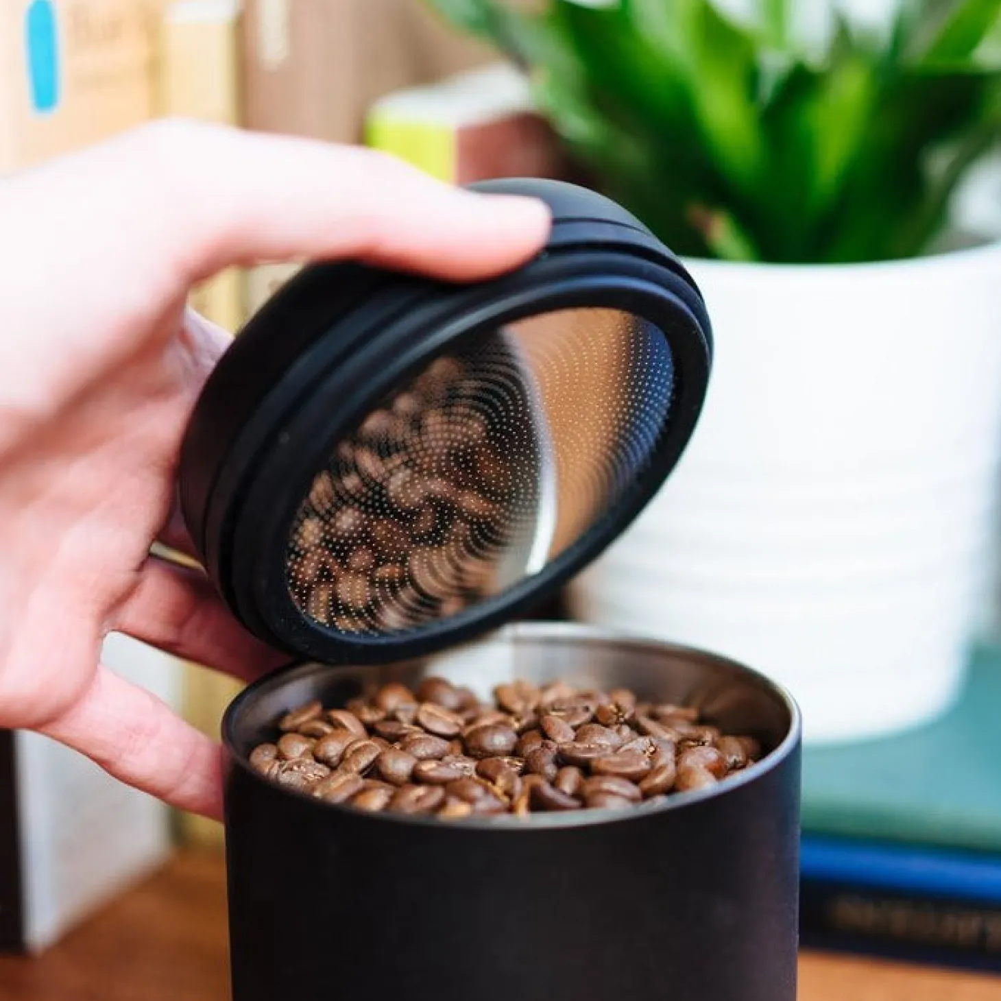 Preservation|Preservation>Ma Caféine Fellow | Atmos matte black coffee container 0.7L