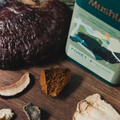 Organic Fair Trade|Coffee Beans>Ma Caféine MushUp | Organic forest - Gourmet Sauvage collaboration - 500 gr bag