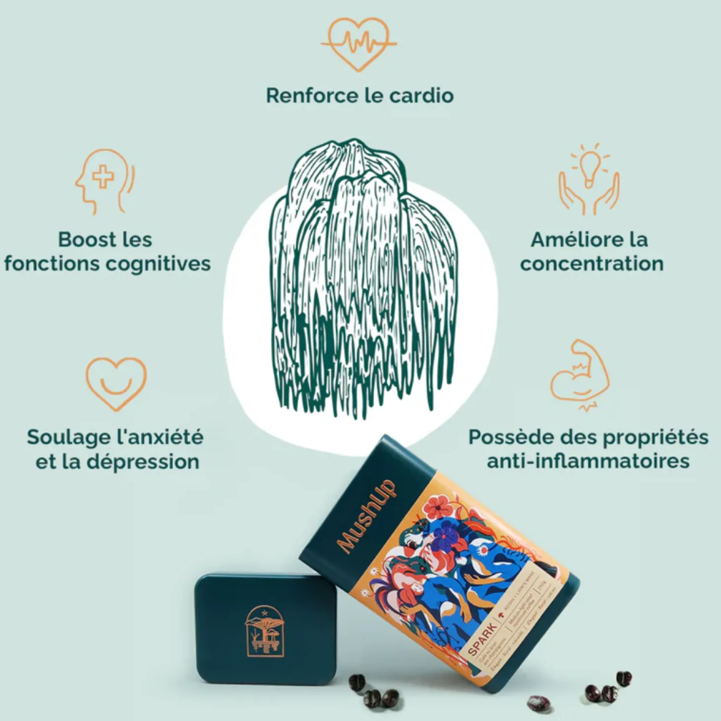 Mushup|Organic Fair Trade>Ma Caféine MushUp | Organic Spark - 500 gr bag